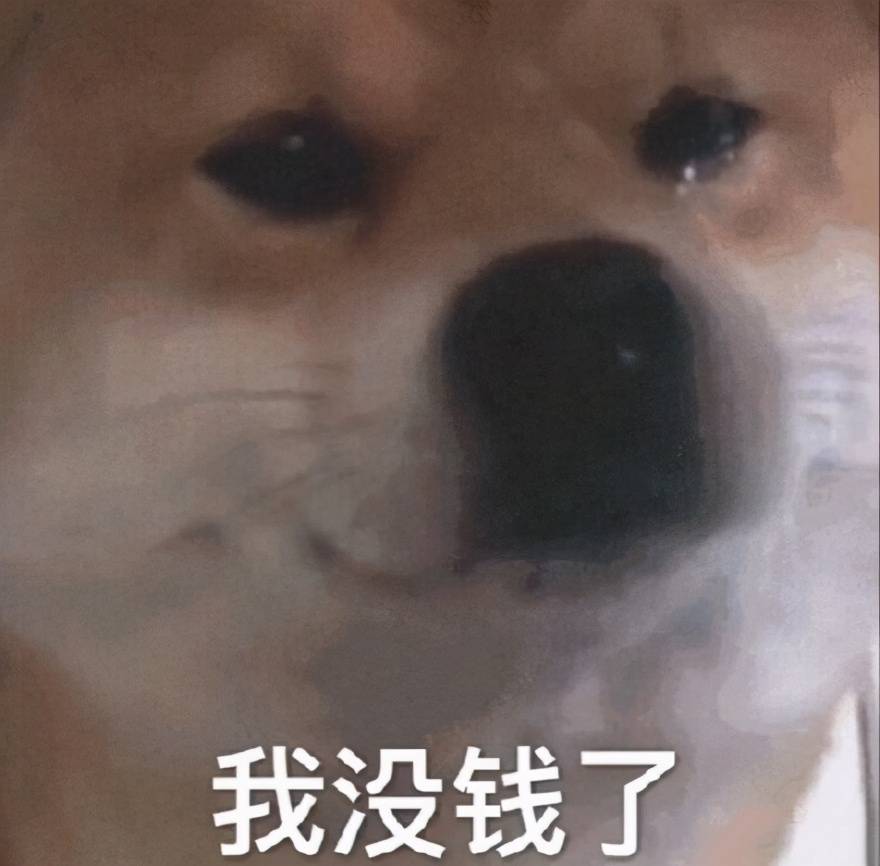 儿童节特惠！快来学习如何存入TP钱包，轻松玩转狗狗币