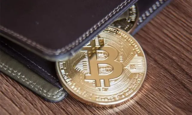 tp钱包doge币支持公链_币钱包有什么用_钱包区块链钱包排名