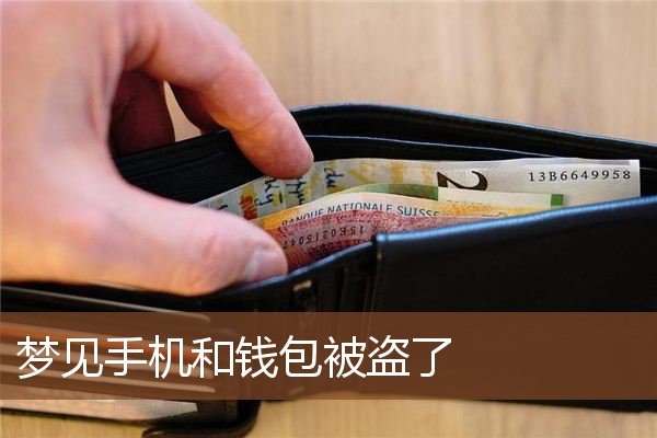 tp钱包被盗立案了能找回吗_报警找回钱包钱没了_被偷钱包报警找回的几率