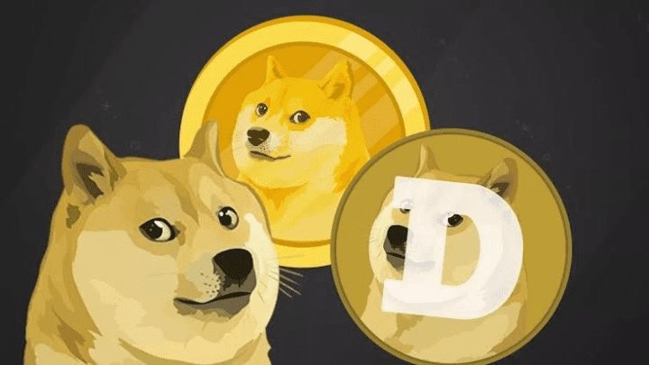 狗狗币提取到钱包_狗狗币怎么提现到tp钱包_狗狗币钱包怎么提现