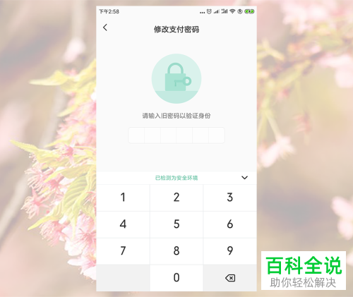 tp钱包如何修改密码_钱包密码修改_tp钱包密码忘了