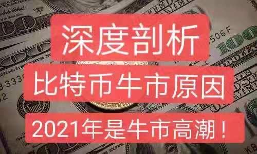 币钱包app_tp钱包币价_钱包币是啥