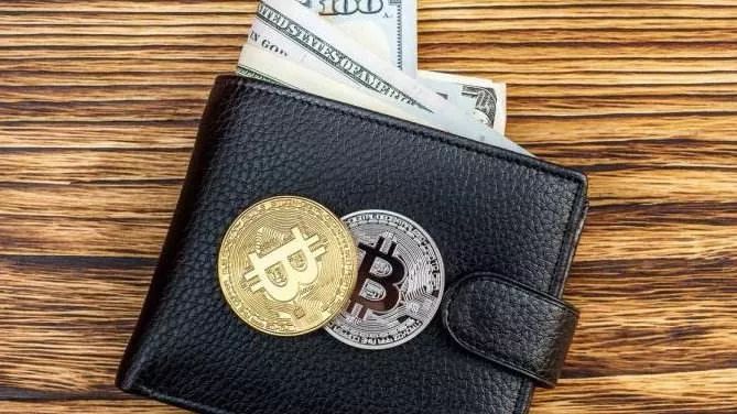 钱包怎么折_tp钱包 dogecoin_钱包app