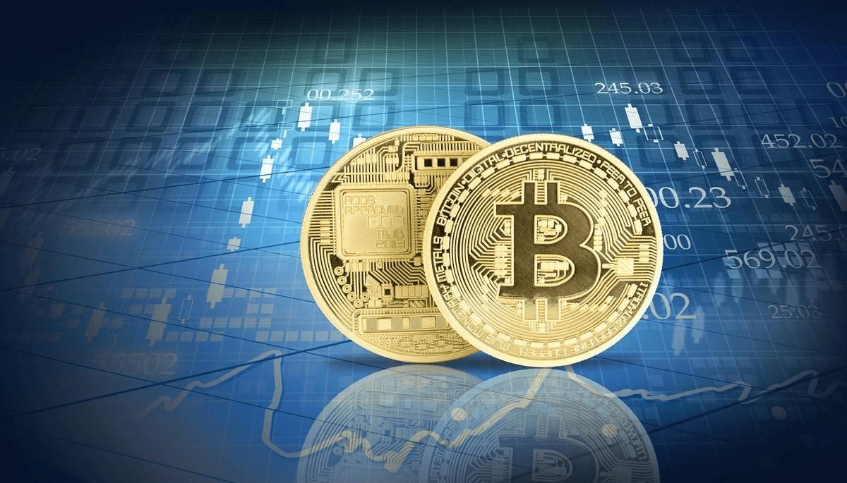 tp钱包defi_钱包设置网络_tp钱包选择哪个网络