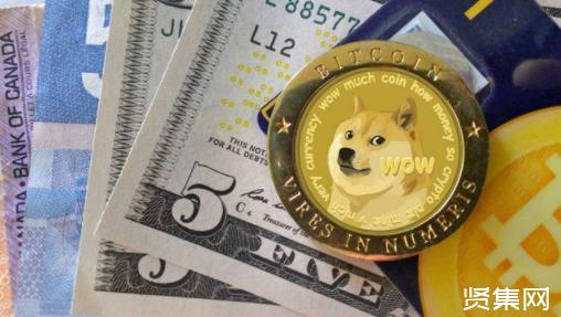 狗狗币怎么提到tp钱包_钱包狗狗币_狗狗币钱包dogecoin