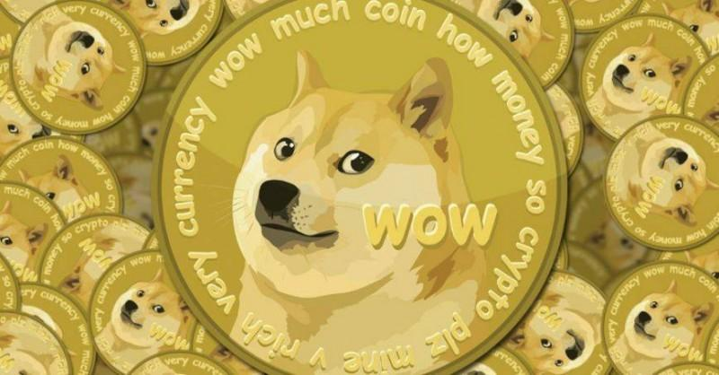 狗狗币怎么提到tp钱包_钱包狗狗币_狗狗币钱包dogecoin