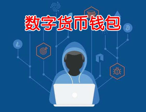 钱包增长_tp钱包价格不更新_tp钱包币变少