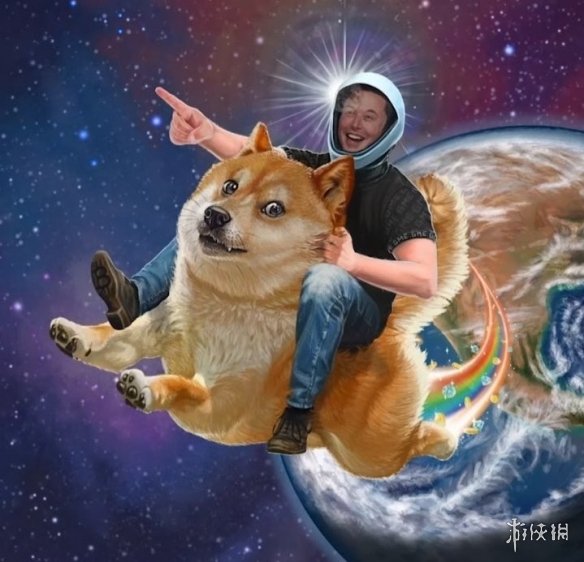 狗狗币钱包dogecoin_tp钱包狗狗币主网_钱包狗狗币