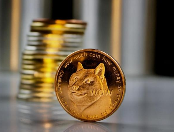 狗狗币钱包官网_tp钱包狗狗币主网_狗狗币钱包dogecoin