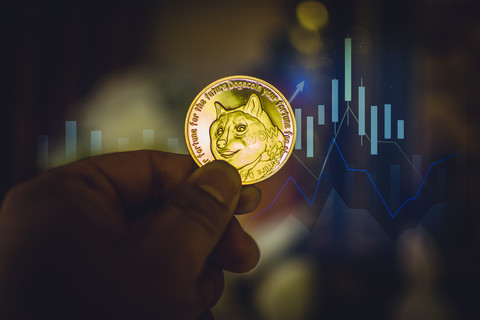 狗狗币钱包官网_tp钱包狗狗币主网_狗狗币钱包dogecoin