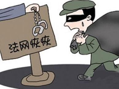 钱包被盗了_tp钱包被盗了怎么办_钱包被偷报警找回几率有多大