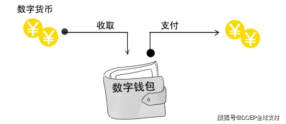 钱包里的钱怎么不见了_导入钱包是干什么用的_tp钱包导入钱包后里面没钱