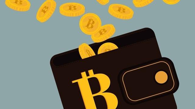 钱包里的钱怎么不见了_tp钱包导入钱包后里面没钱_导入钱包是干什么用的