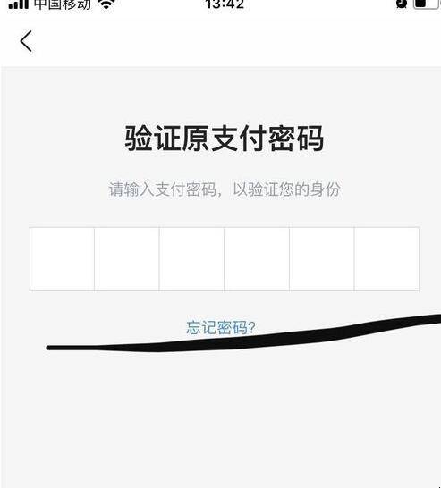 tp钱包支付密码忘记_钱包支付密码已锁定怎么重置_钱包密码忘了