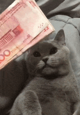 狗狗币钱包导入私钥_狗狗币钱包dogecoin_狗狗币怎么转到tp钱包