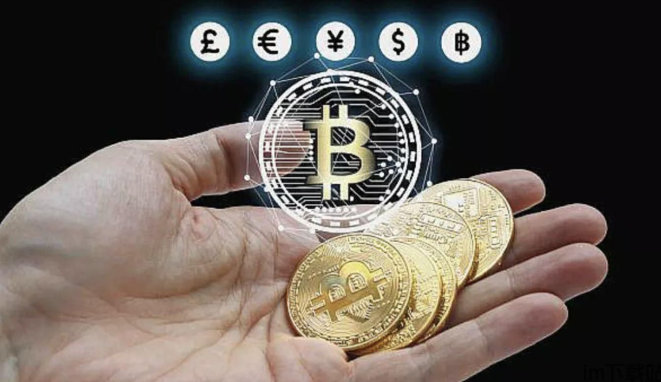 怎么导入tp钱包_钱包导入私钥风险_钱包导入助记词btc地址变了