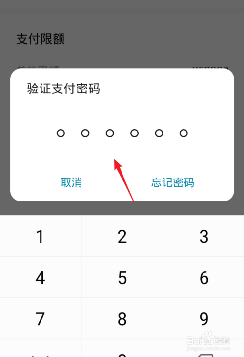 钱包密码锁忘了怎么办_钱包密码怎么改成数字的_tp钱包密码几位数