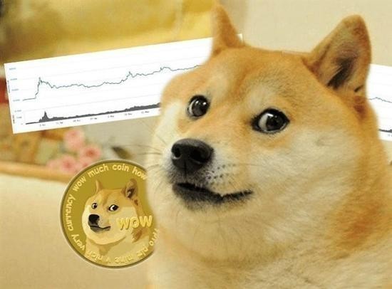 狗狗币放tp钱包_狗币tp钱包_tp钱包不支持狗狗币
