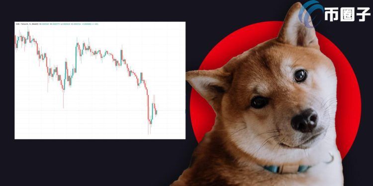 狗狗币tp钱包合约地址_heco狗狗币合约地址_tp钱包找不到狗狗币的合约
