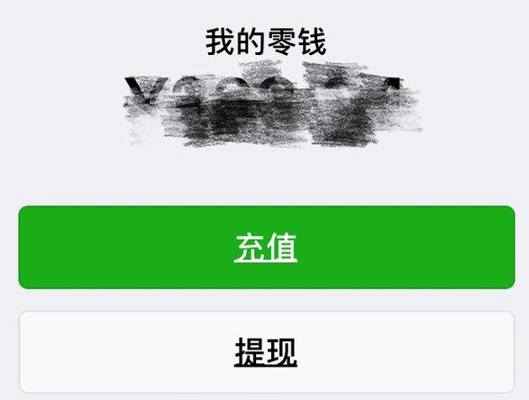 比特币和莱特币钱包_tp钱包重装币没了_荣耀钱包花币怎么赚