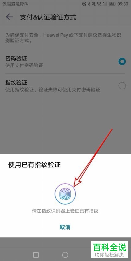 tp钱包支付密码_TP钱包在哪里设置交易密码_钱包密码怎么设置