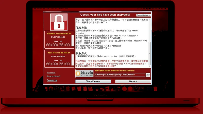 tp钱包 病毒_钱包tp_hiv病毒是什么病毒