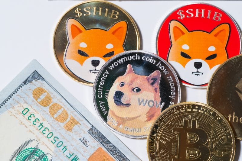 钱包提到交易所手续费_钱包提到银行卡里一次能提多少_doge提到tp钱包