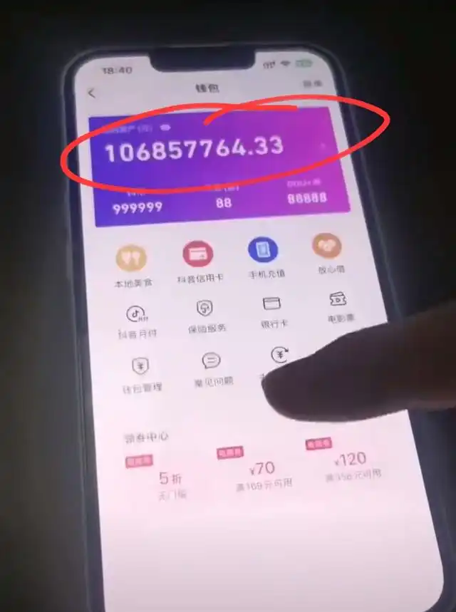 创意人民币钱包违法吗_tp钱包创始人付盼违法_盼盼钱包贷款