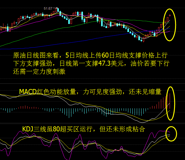钱币走势图_tp钱包看走势_tp暴走不需要tp点