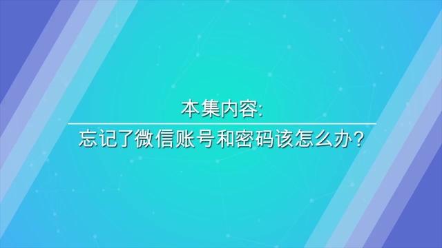 钱包忘记支付密码怎么办_tp钱包支付密码忘记_tp钱包交易密码忘记