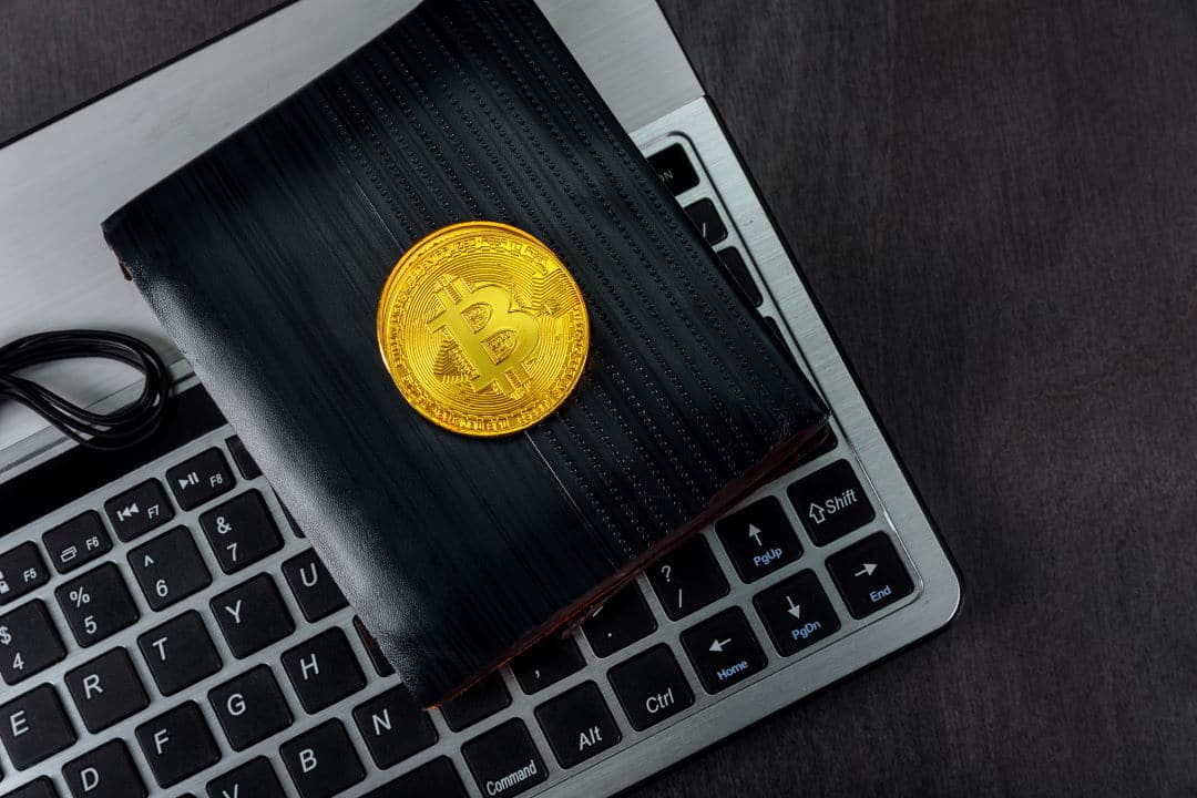 什么是tp钱包图片_钱包图片是不是叫金额的_钱包tp