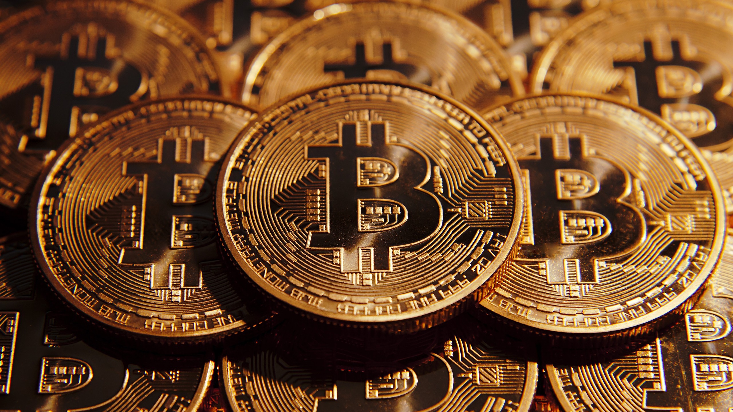 bitpay钱包下载-快速入门数字货币交易，bitpay钱包带你轻松上手