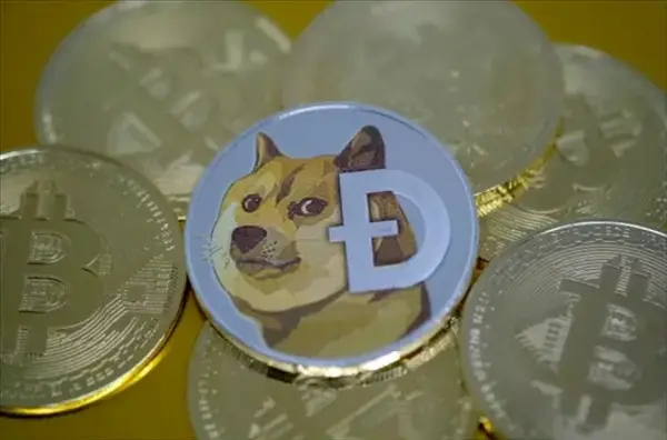 狗狗币钱包dogecoin_狗狗币怎么转到tp钱包_狗狗币钱包导入私钥