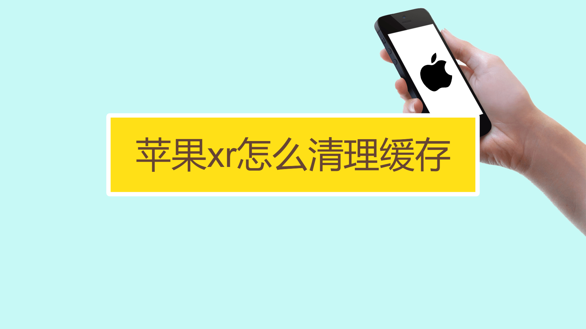 钱包打开钱包_tp钱包打不开_钱包打开图片卡通