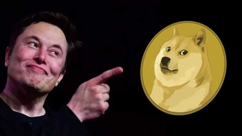 钱包狗狗币_tp钱包怎么买狗狗币_狗狗币钱包dogecoin