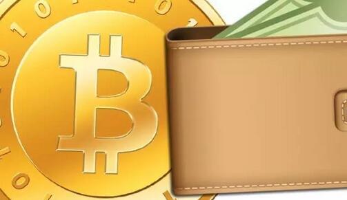 钱包币是啥_tp钱包是哪个币的钱包_钱包币的软件