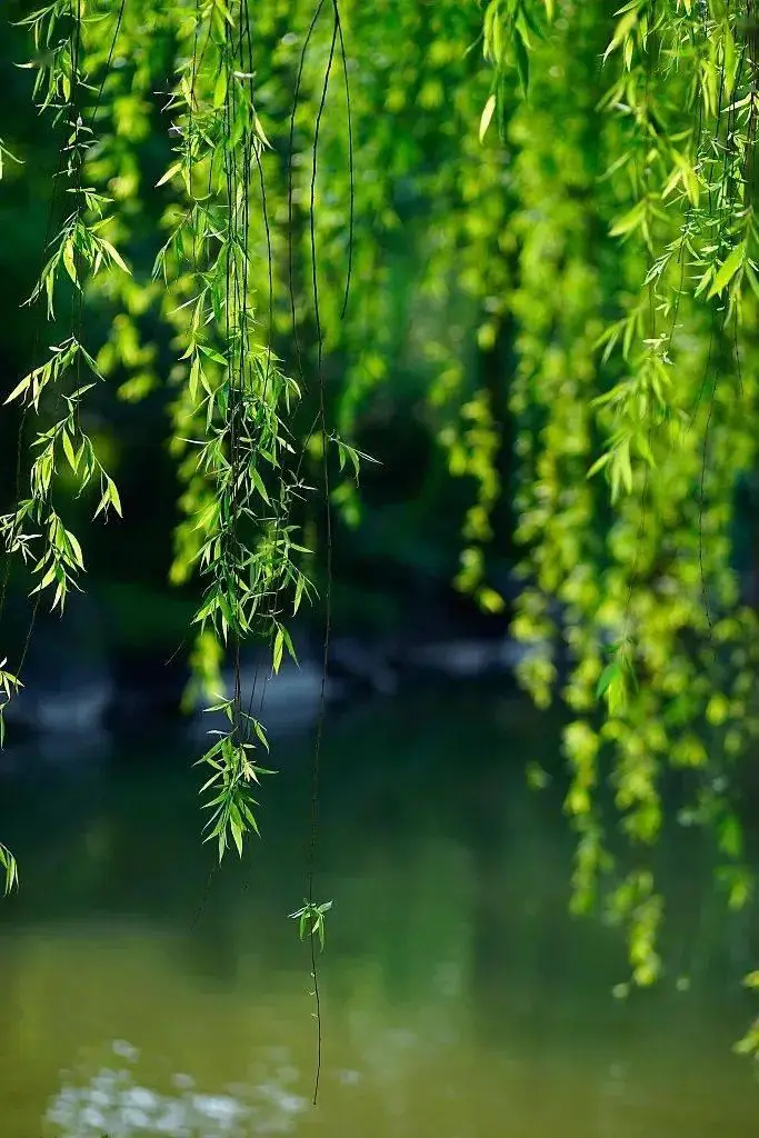 钱包币怎么转到交易所_钱包转币到交易所要多少费用_tp钱包怎么转币安