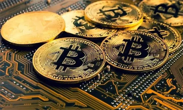 tp钱包看行情_看钱包的那个图片_看一下钱包