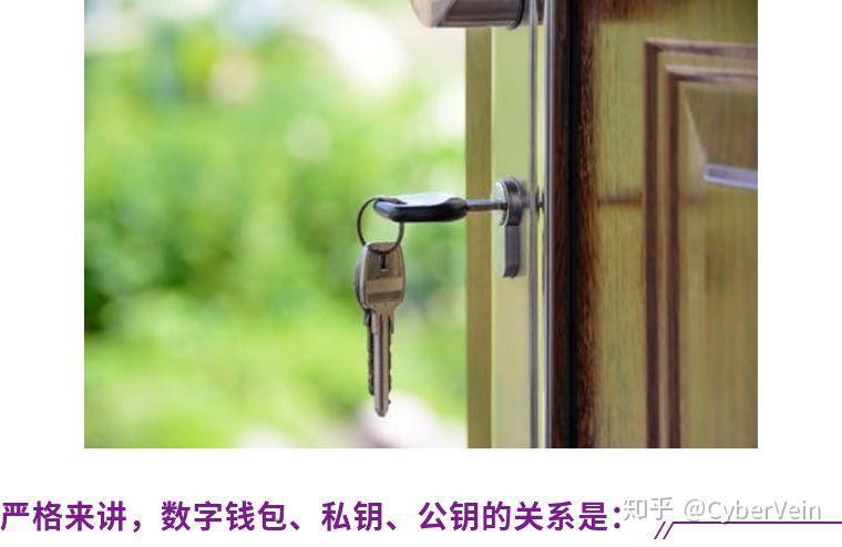 钱包公钥和私钥的区别_钱包公钥在哪里看_tp钱包公钥在哪里