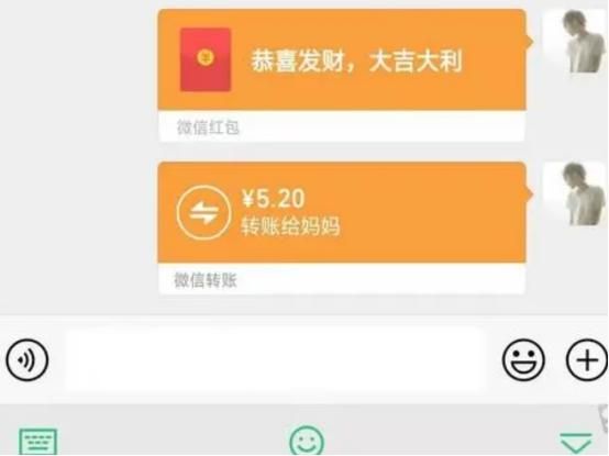 ronin钱包转账_tp钱包如何转账人名币_转账人民币是什么意思