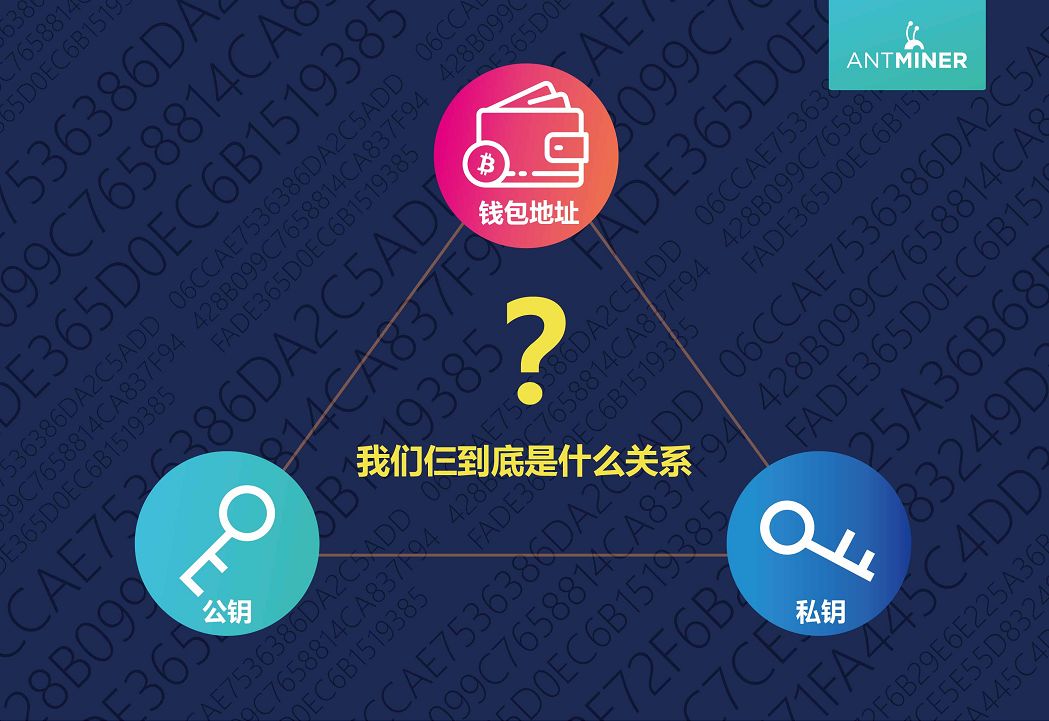 钱包退出导航_tp钱包退出登录_如何退出tp钱包