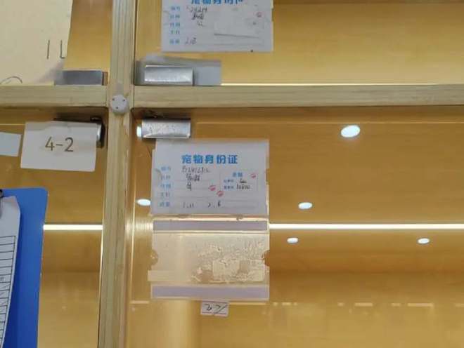钱包空投_TP钱包空投骗局_钱包空投币