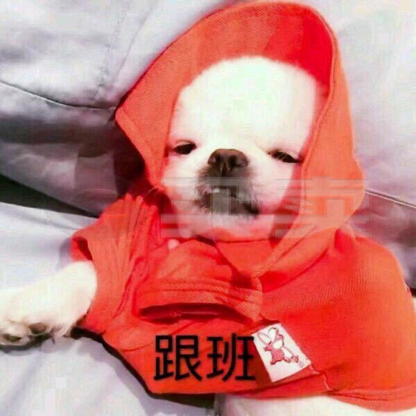 狗狗币提现_狗狗币提取到钱包_狗狗币怎么提现到tp钱包