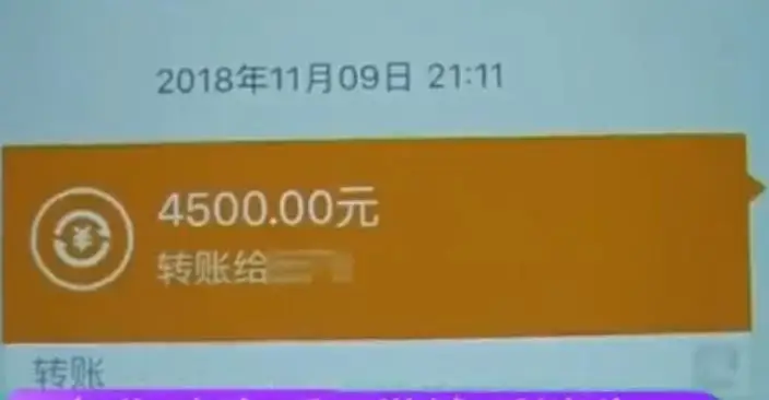 tp钱包创始人付盼违法_盼盼钱包贷款_云付互联网创始平台