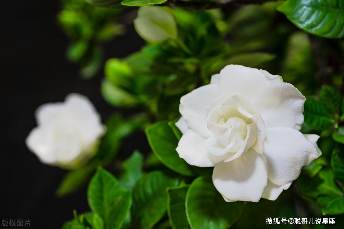 钱包怎么下载_tp钱包桌面版_tp钱包如何下载安装到桌面