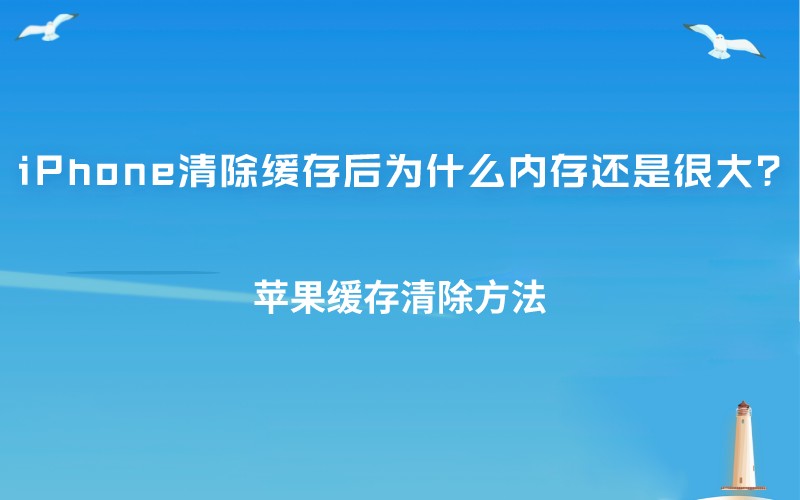 tp钱包打不开_钱包打开图片卡通_钱包打开只剩一块钱的表情包