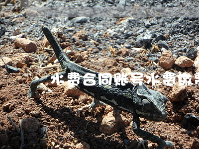 tp钱包怎么切换钱包_tp钱包在哪里切换账户_tp钱包换手机登录