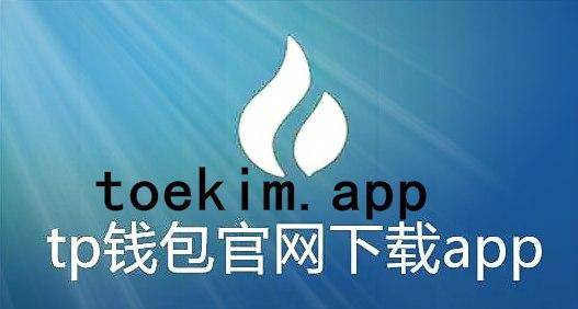 tp钱包网页打不开怎么办-五招教你秒解TP钱包网页打不开之谜