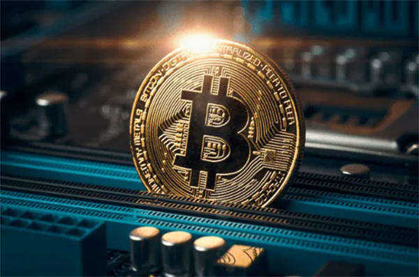 tp钱包靠什么盈利_钱包项目有哪些_钱包项目现在倒闭多少了