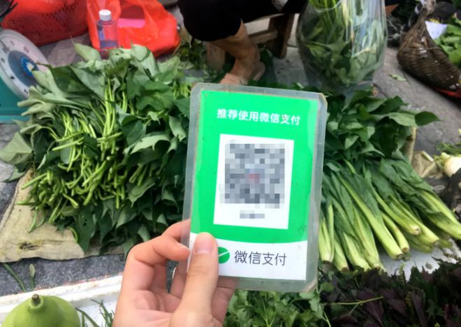 tp钱包新手教程_手机tp钱包使用教程_tp钱包怎么弄